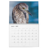 Strandvogels fotografie kalender (Mar 2027)