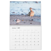 Strandvogels fotografie kalender (Jan 2027)