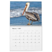 Strandvogels fotografie kalender (Feb 2027)