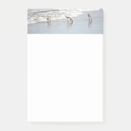 Strandvogels in de branding Post-it-notities Post-it® Notes (Voorkant)