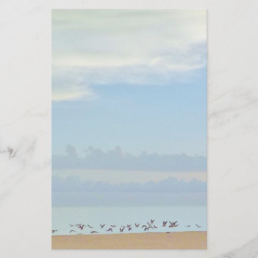 Strandvogels in Flight Stationery Briefpapier (Voorkant)
