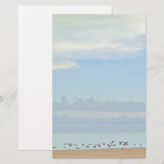 Strandvogels in Flight Stationery Briefpapier (Voorkant / Achterkant)