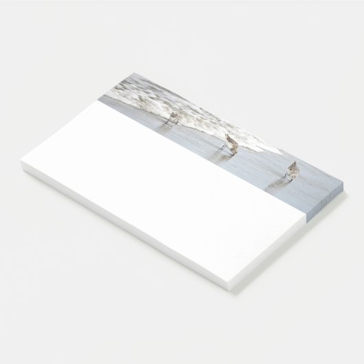 Strandvogels in het Surf 10x6 Notities Post-it® Notes (Schuin)