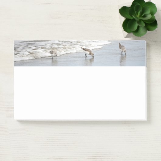 Strandvogels in het Surf 10x6 Notities Post-it® Notes (Kantoor)