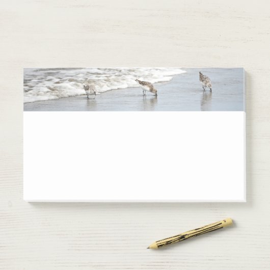 Strandvogels in het Surf 10x6 Notities Post-it® Notes (Op bureau)