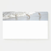 Strandvogels in het Surf 10x6 Notities Post-it® Notes (Voorkant)