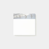 Strandvogels in het Surf 3x3 Notities Post-it® Notes (Voorkant)