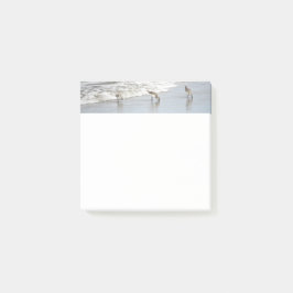 Strandvogels in het Surf 3x3 Notities Post-it® Notes