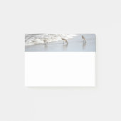Strandvogels in het Surf 4x6 Noten Post-it® Notes (Voorkant)