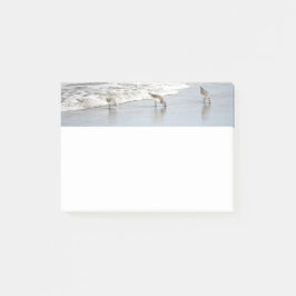 Strandvogels in het Surf 4x6 Noten Post-it® Notes