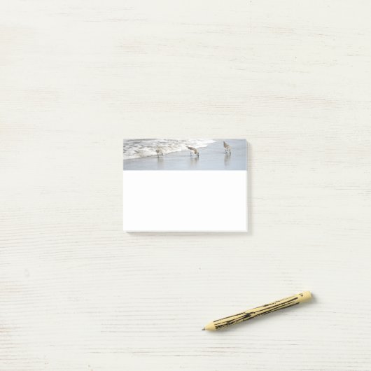Strandvogels in het Surf 4x6 Noten Post-it® Notes (Op bureau)