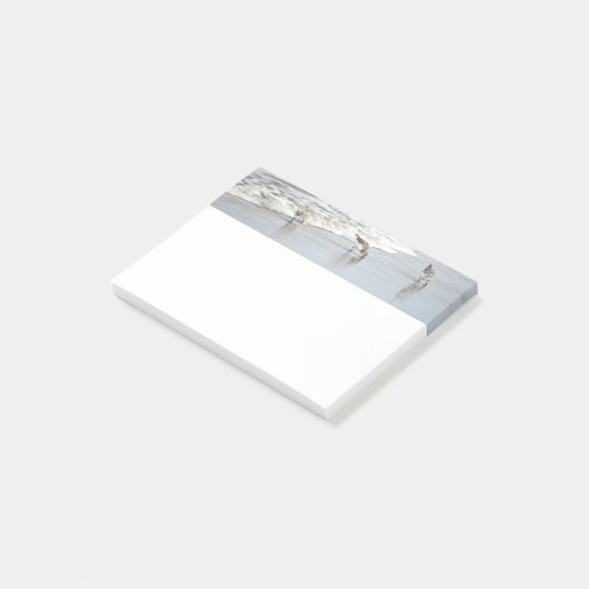 Strandvogels in het Surf 4x6 Noten Post-it® Notes (Schuin)