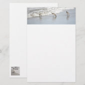 Strandvogels in het Surf Notities Briefpapier (Voorkant / Achterkant)