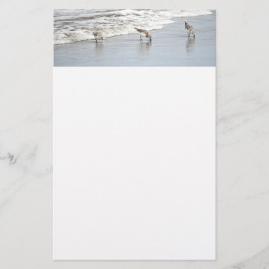 Strandvogels in het Surf Notities Briefpapier (Voorkant)