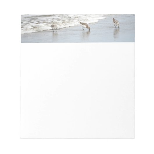Strandvogels in het Surf Notities Notitieblok (Voorkant)