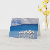 Strandvogels rennen kaart (Gele Bloem)