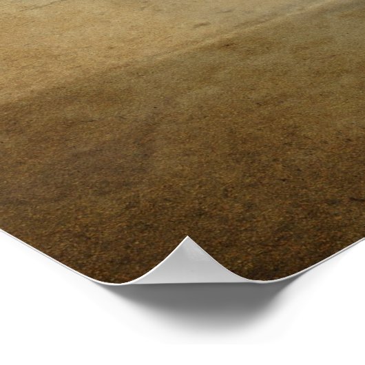  strandzonneschijn Poster (Hoek)