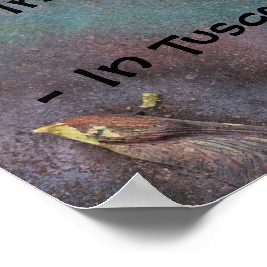 Strange Arizona Laws Poster (Hoek)