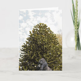 Strange enough to puzzle a monkey. kaart