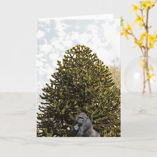 Strange enough to puzzle a monkey. kaart (Gele Bloem)