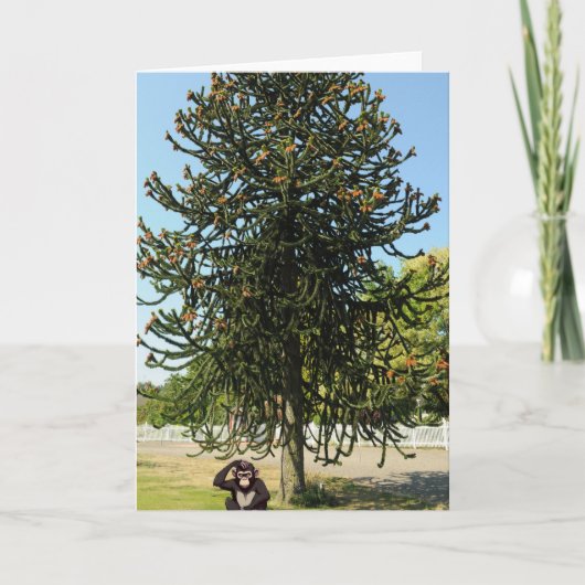 Strange enough to puzzle a monkey. kaart (Voorkant)