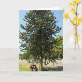 Strange enough to puzzle a monkey. kaart (Gele Bloem)