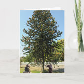 Strange enough to puzzle a monkey. kaart (Voorkant)