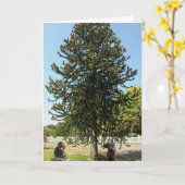 Strange enough to puzzle a monkey. kaart (Gele Bloem)