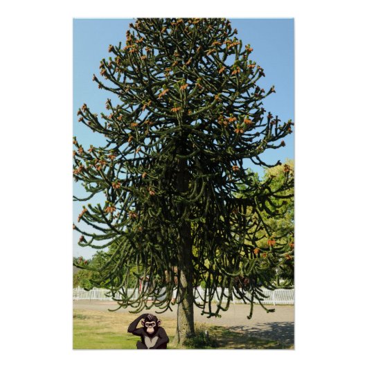 Strange enough to puzzle a monkey. perfect poster (Voorkant)