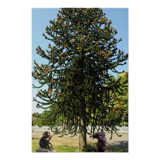 Strange enough to puzzle a monkey. perfect poster (Voorkant)