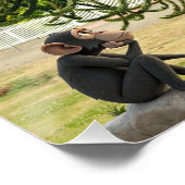 Strange enough to puzzle a monkey. perfect poster (Hoek)