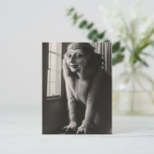 Strange Pet Halloween Briefkaart (Staand voorkant)