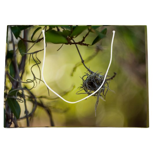 Strange Plant Groot Cadeauzakje (Voorkant)