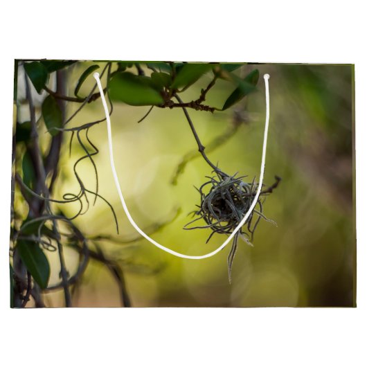 Strange Plant Groot Cadeauzakje (Achterkant)