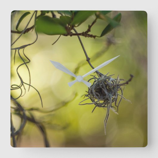 Strange Plant Vierkante Klok (Voorkant)