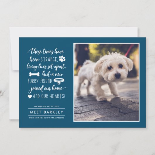 Strange Times New Pet Photo Notice| Blauw Feestdagenkaart (Voorkant)