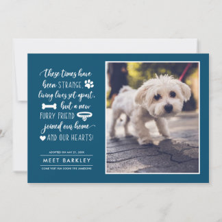 Strange Times New Pet Photo Notice| Blauw Feestdagenkaart