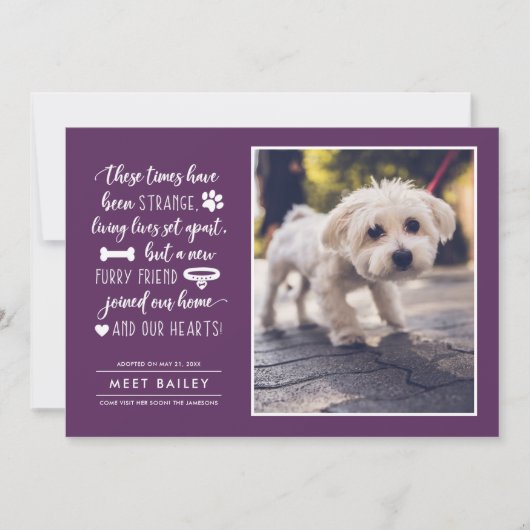 Strange Times New Pet Photo Notice| Plum Feestdagenkaart (Voorkant)