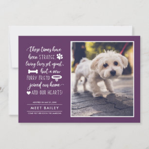 Strange Times New Pet Photo Notice  Plum Feestdagenkaart