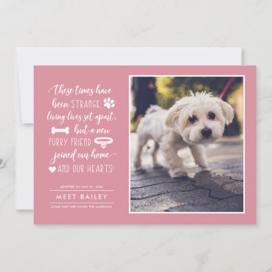 Strange Times New Pet Photo Notice| Roze Feestdagenkaart (Voorkant)