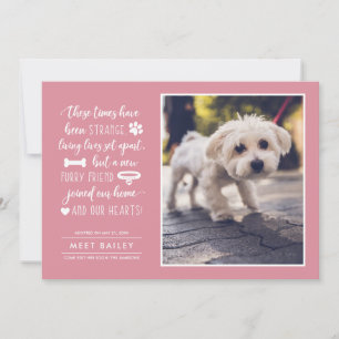 Strange Times New Pet Photo Notice  Roze Feestdagenkaart