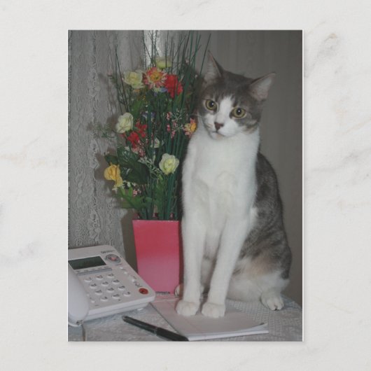Strange Voices Briefkaart (Voorkant)