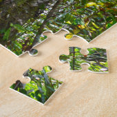 Strangler Fig, Big Cypress National Preserve, FL Legpuzzel (Zijkant)