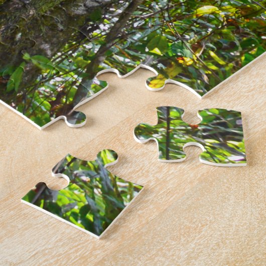 Strangler Fig, Big Cypress National Preserve, FL Legpuzzel (Zijkant)
