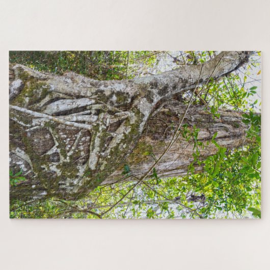 Strangler Fig, Big Cypress National Preserve, FL Legpuzzel (Horizontaal)