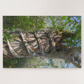 Strangler Fig, Big Cypress National Preserve, FL Legpuzzel (Horizontaal)