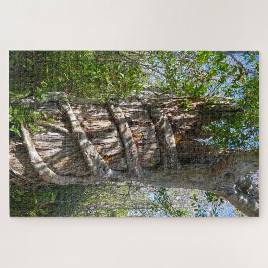 Strangler Fig, Big Cypress National Preserve, FL Legpuzzel (Horizontaal)