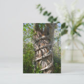 Strangler Fig, Big Cypress Swamp, Florida Briefkaart (Staand voorkant)
