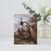 STRANOVER, Tobias vogels pauw dieren  Briefkaart (Staand voorkant)