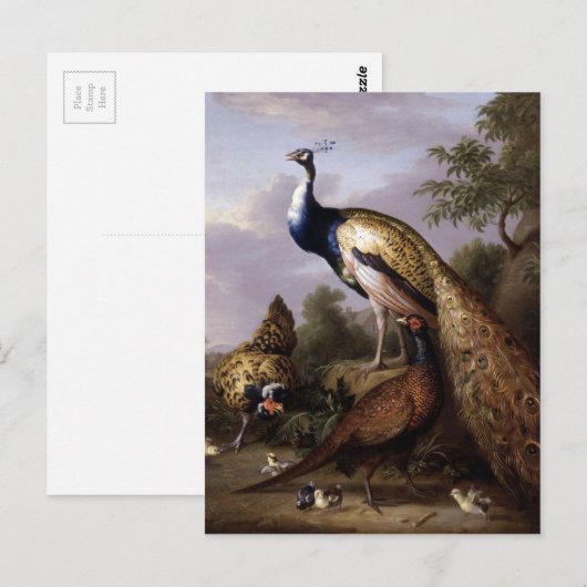 STRANOVER, Tobias vogels pauw dieren  Briefkaart (Voorkant / Achterkant)